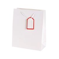 Papírová dárková taška s visačkou TORO 32x26c...