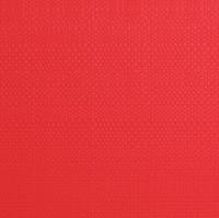 Plastové prostírání TORO 28,5x44cm červené