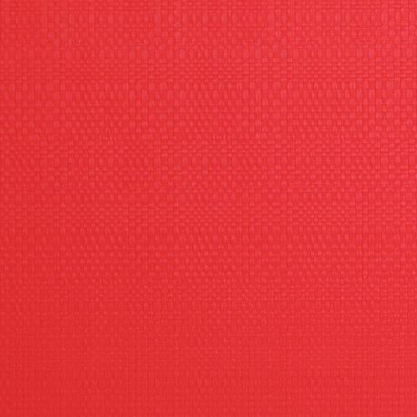 Plastové prostírání TORO 28,5x44cm červené