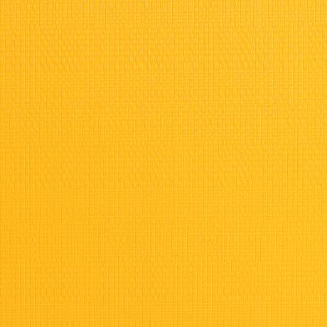 Plastové prostírání TORO 28,5x44cm žluté